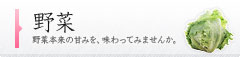 野菜